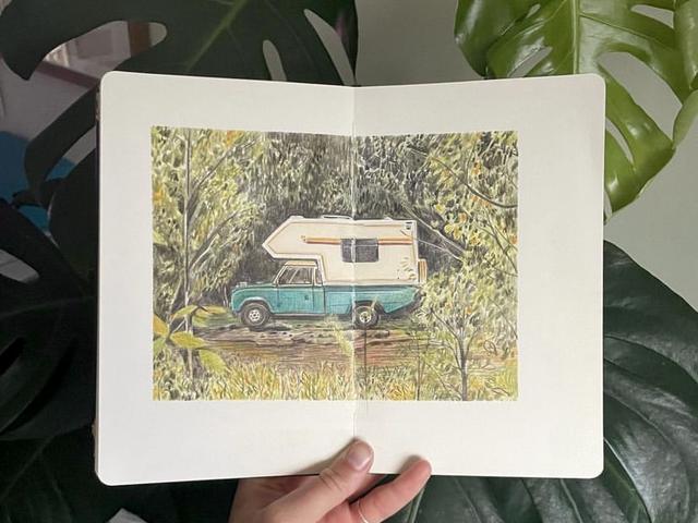 The Wild Patch — Illustration, Workshops
